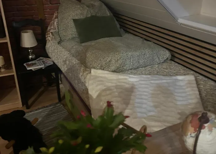 U Tri Kocek Appartement Sokolov